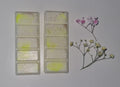 Sun Kissed Linen Snapbar