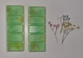 Lime, Basil & Mandarin Snapbar